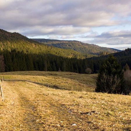 Gemuetliche Ferienwohnung - Mitten Im Schwarzwald 波瑙施华瓦尔 外观 照片